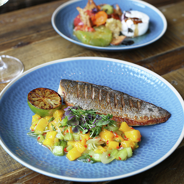 MG Roasted Seabream Mango and Cucumber 600px