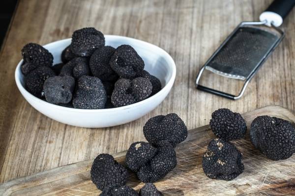 Truffles with grater