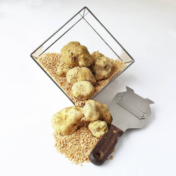 RGR white truffles 2019