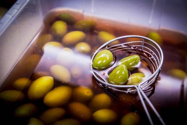 olive oil blog