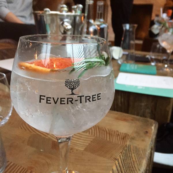 Fever Tree gT at masterclass